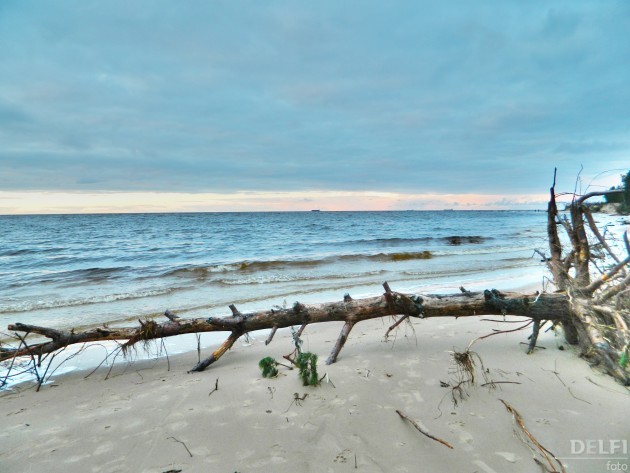 Vakarbuļļu pludmale 2012 - 1