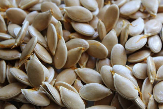 Pumkin seeds - Семена тыквы