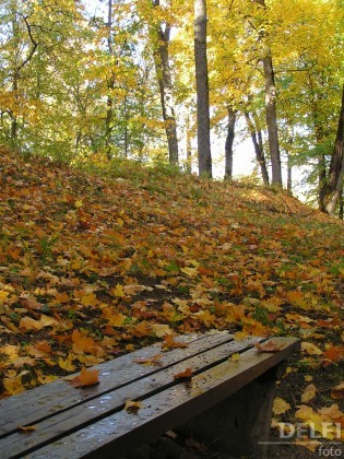 Осенний парк...