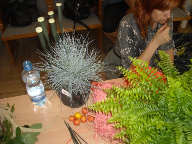 Latvijas floristu konkurss Jelgavā 2013 - 167