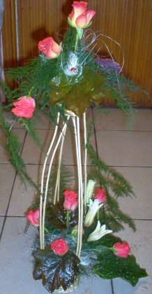 Picture 008
