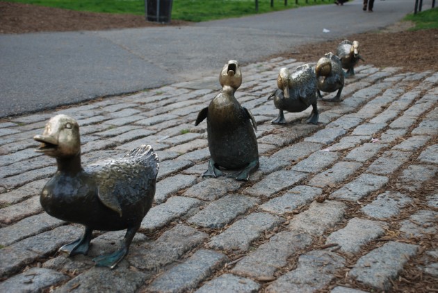 Make Way for Ducklings02