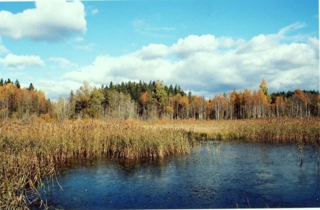 Entu ezeri Igaunijā - 5