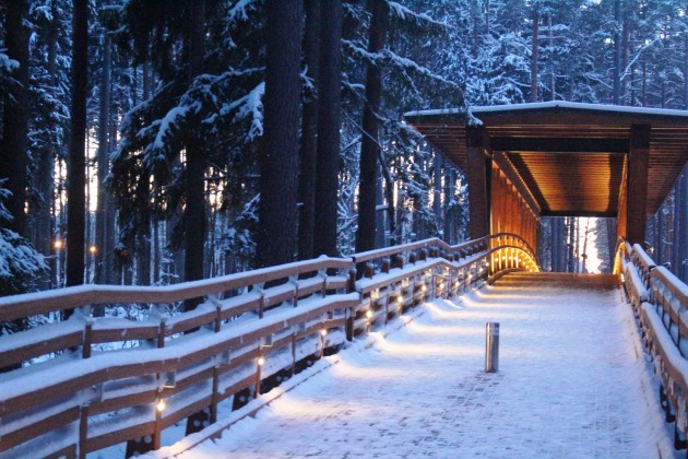 Tērvetes dabas parks ziemā - 8