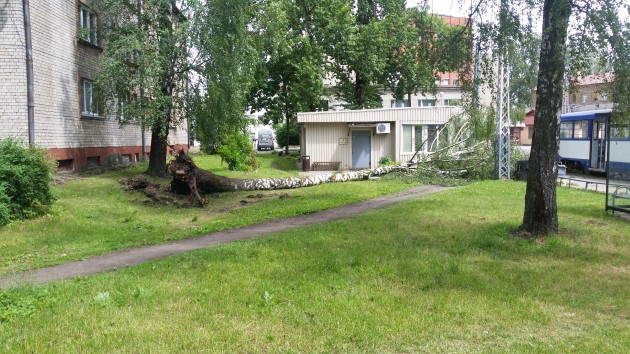 Vētras postījumi Latvijā - 19