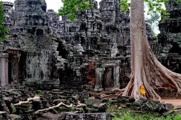 Angkora - 4
