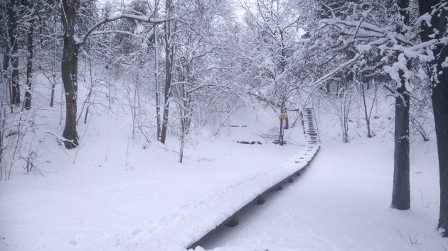 Bolderāja ziemā - 1