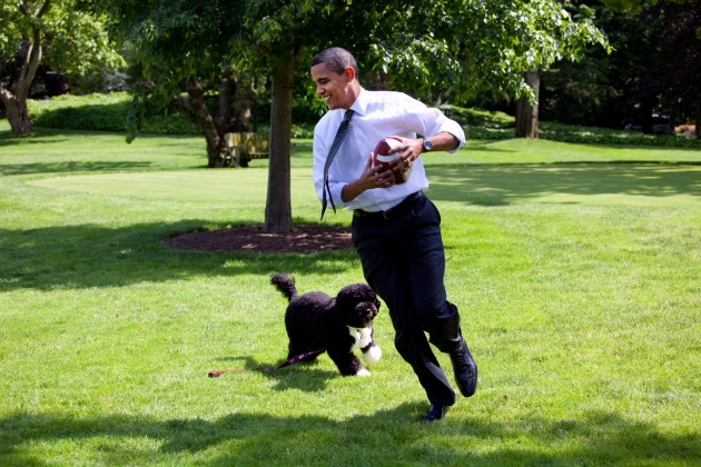 Obamu ģimenes suņi - 2