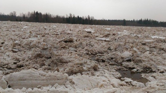 Ledus sablīvējumi Daugavā pie Pļaviņām - 20