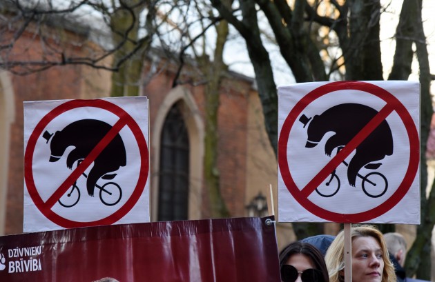 Dzīvnieku tiesību sargi protestā pie Saeimas pieprasīs "cilvēcīgu cirku" - 8
