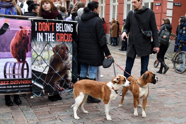 Dzīvnieku tiesību sargi protestā pie Saeimas pieprasīs "cilvēcīgu cirku" - 19