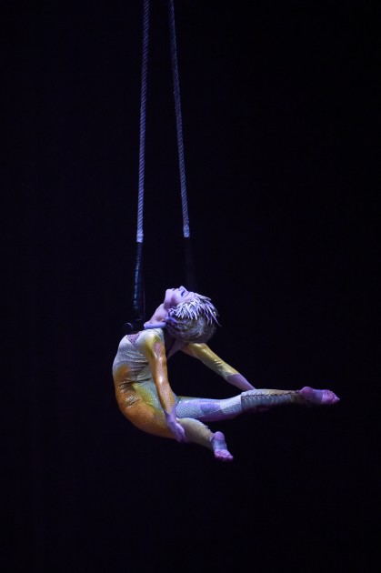 Cirque du Soleil Varekai - 53