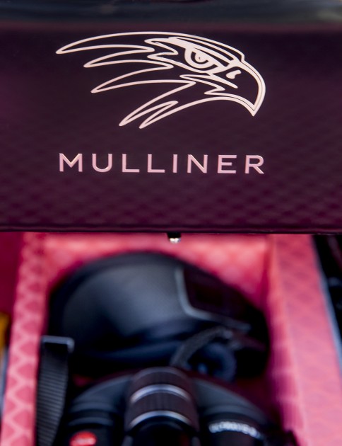 Bentley Bentayga Falconry by Mulliner - 26