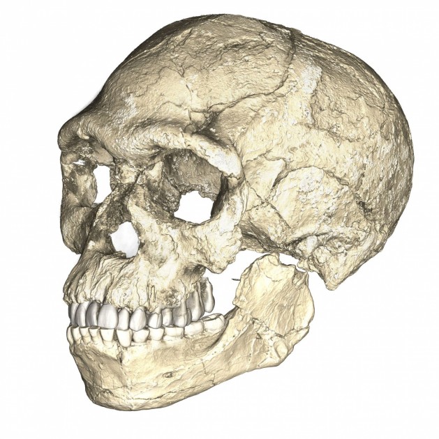 Marokā atrastas vecākās Homo sapiena fosīlijas - 1