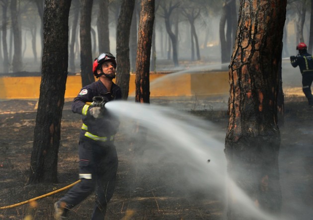 Spānijā meža ugunsgrēka dēļ evakuē 1000 cilvēku - 6