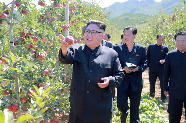 Kims Čenuns ābolu saimniecībā Ziemeļkorejā - 4