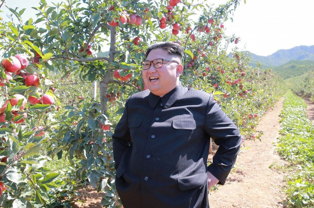 Kims Čenuns ābolu saimniecībā Ziemeļkorejā - 5