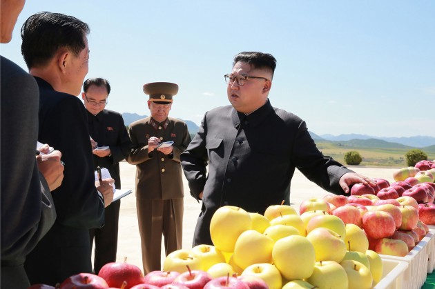 Kims Čenuns ābolu saimniecībā Ziemeļkorejā - 6