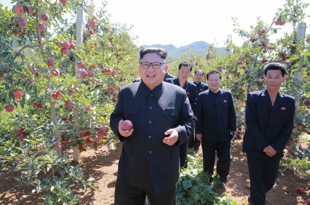 Kims Čenuns ābolu saimniecībā Ziemeļkorejā - 9