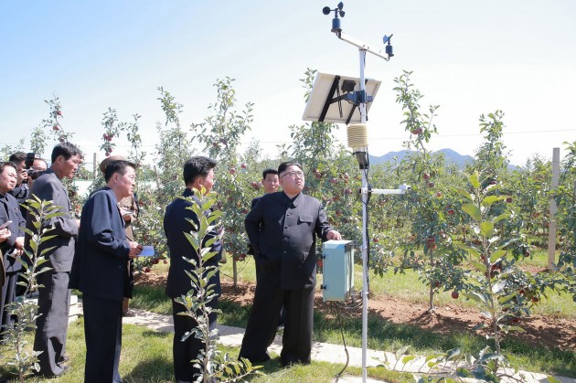 Kims Čenuns ābolu saimniecībā Ziemeļkorejā - 10