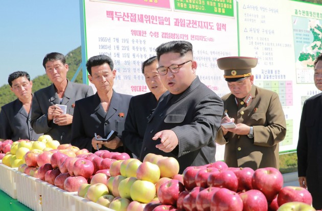 Kims Čenuns ābolu saimniecībā Ziemeļkorejā - 11