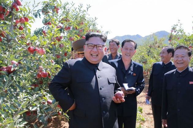 Kims Čenuns ābolu saimniecībā Ziemeļkorejā - 12