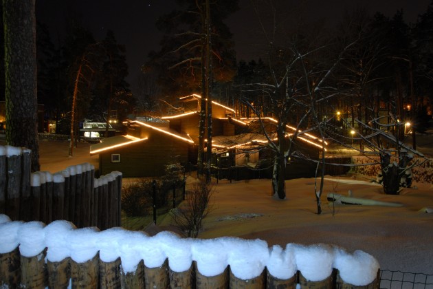 Ziemas naktis Rīgas zoodārzā - 1