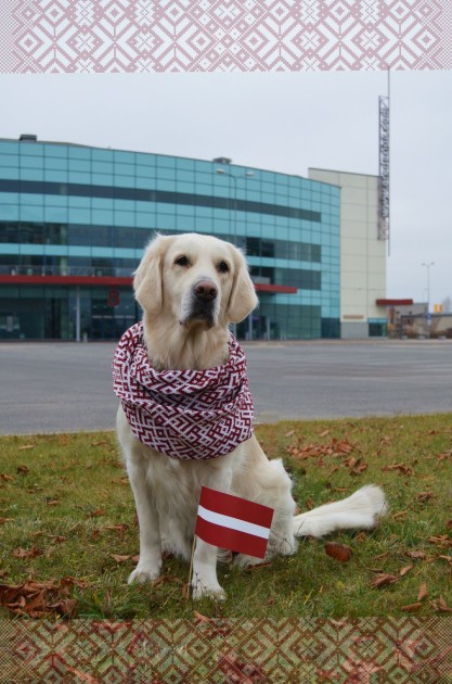 Greisa, patriotiskākais suns Latvijā - 1