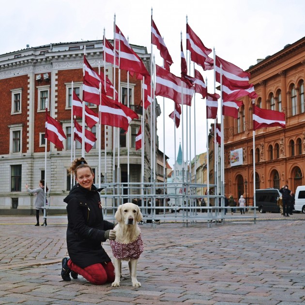 Greisa, patriotiskākais suns Latvijā - 5