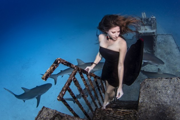 Modele zem ūdens pozē ar haizivīm - 8