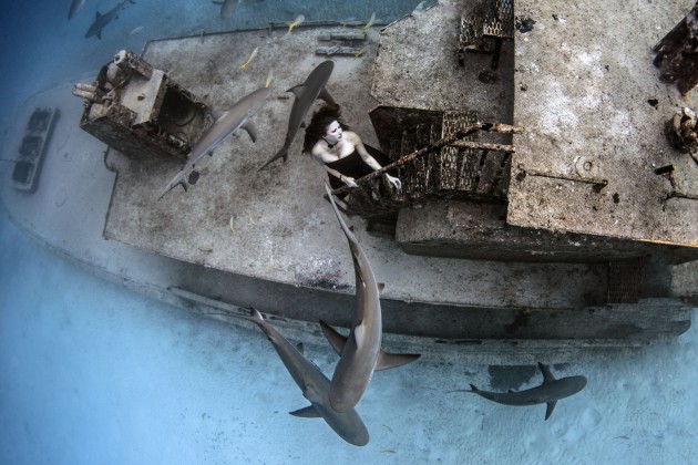 Modele zem ūdens pozē ar haizivīm - 10