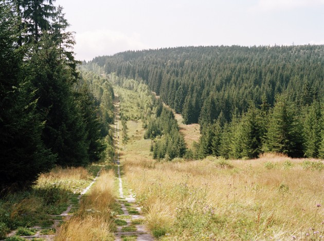Nāves josla Vācijā, kas kļuvusi par 1400 kilometru garu dabas parku - 14