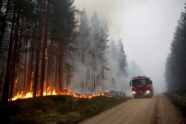 Mežu ugunsgrēki Zviedrijā - 15