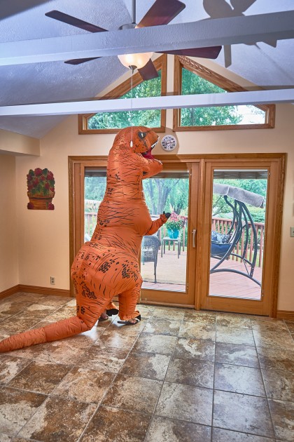 Dinozaurs pārdod mājas - 14