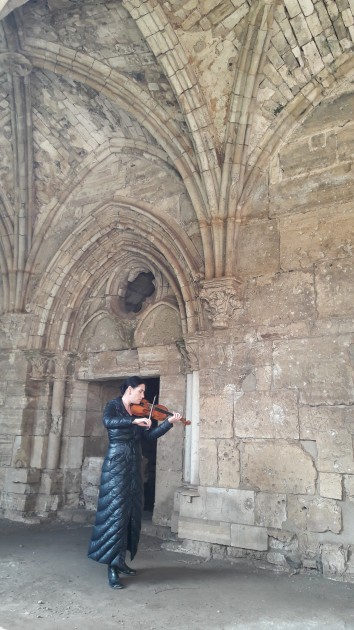 Latviešu vijolniece Sīrijā - 25