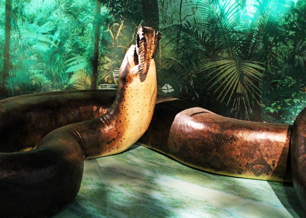 Titanoboa, čūska
