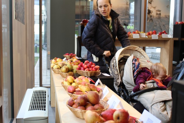 Latvijas valsts mežu vēstniecībā Rīgā, Latvijas valsts mežu vēstniecība, āboli, ābolu izstāde