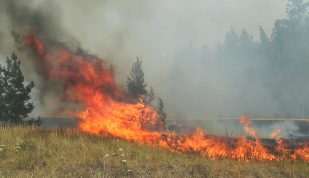 Mežu ugunsgrēki Čeļabinskā - 7