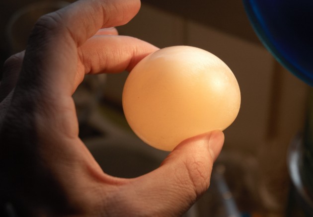 naked egg