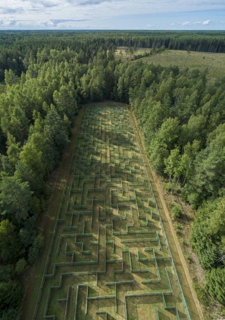 Mežvidu labirints - 5