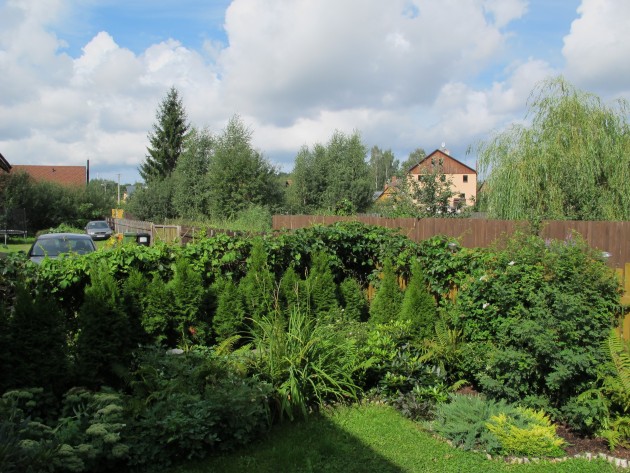 Larisas Dimantes dārzs 2014. gadā, Larisa Dimante