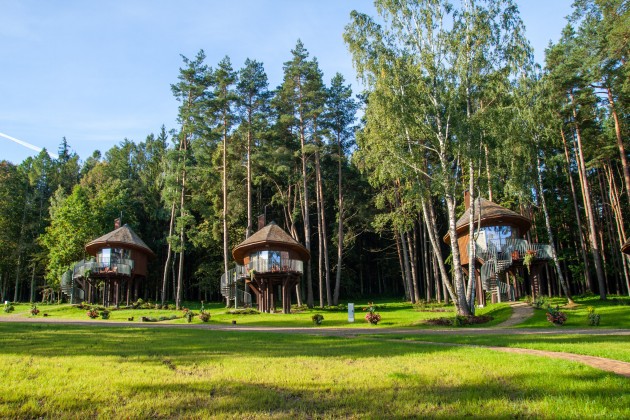 Latvijas valsts mežu glempings Tērvetē - 7