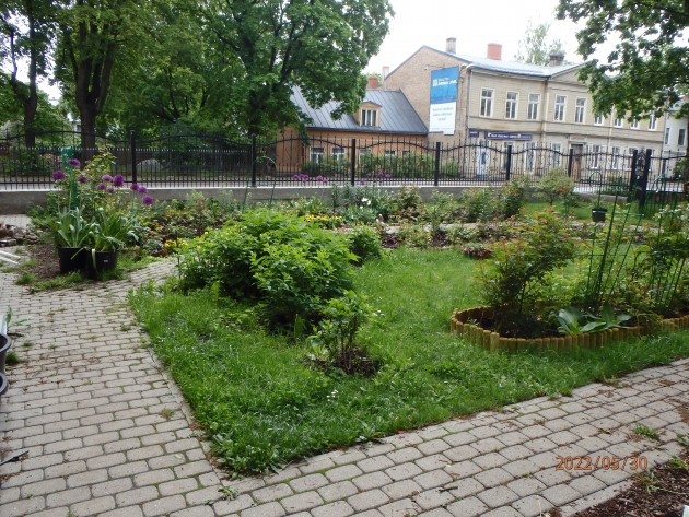 Dārzs Rīgā pie daudzdzīvokļu mājas - 4