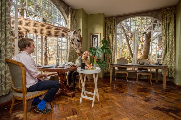 Viesnīca Āfrikā "Žirafu muiža" - 23