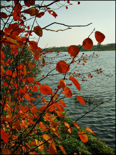 autumn in colors
