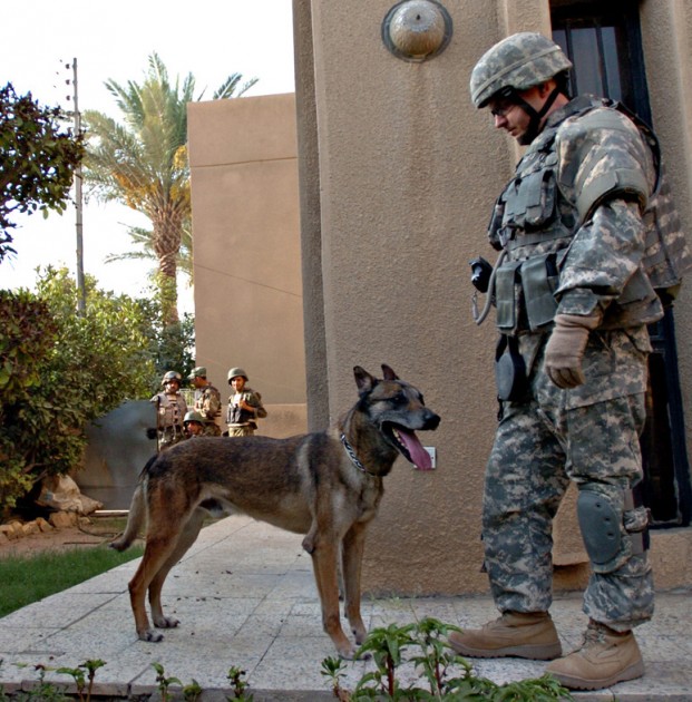 ASV armijas suņi Irākā - 7