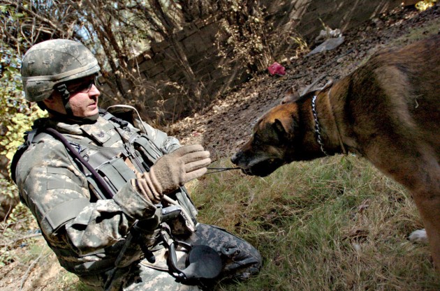 ASV armijas suņi Irākā - 9