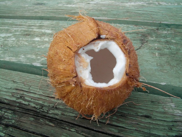 kokosrieksts