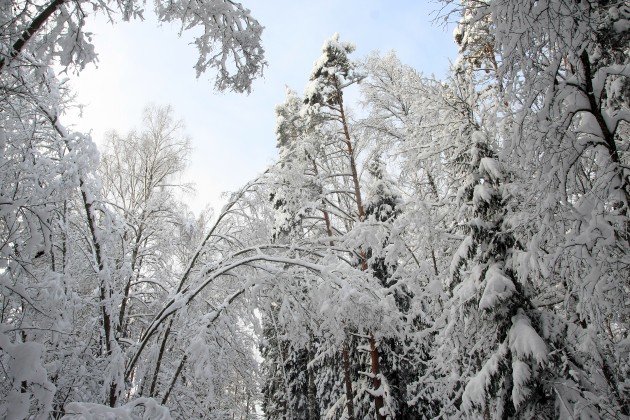 Elektrolīniju atbrīvošana no sniega un kokiem - 3