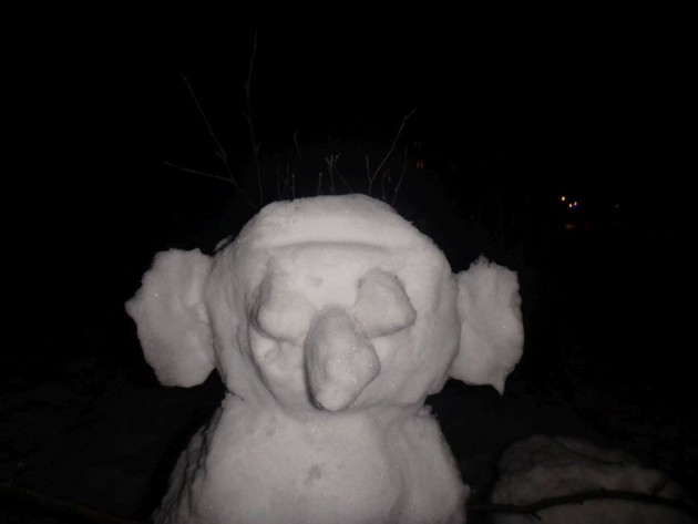 Daba. Sniegavīrs  Yanuary-9